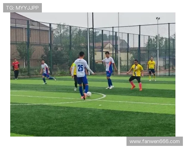 足球比赛的激情与足球明星的风采交织成的精彩画卷